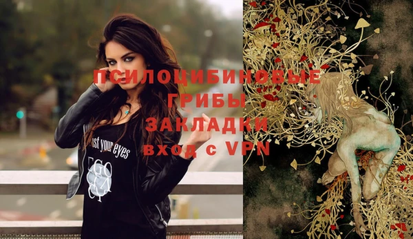 дмт Покачи