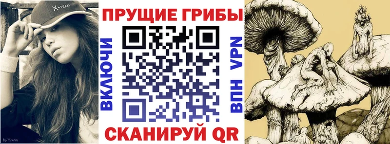 Галлюциногенные грибы Psilocybe  KRAKEN ONION  Тбилисская 